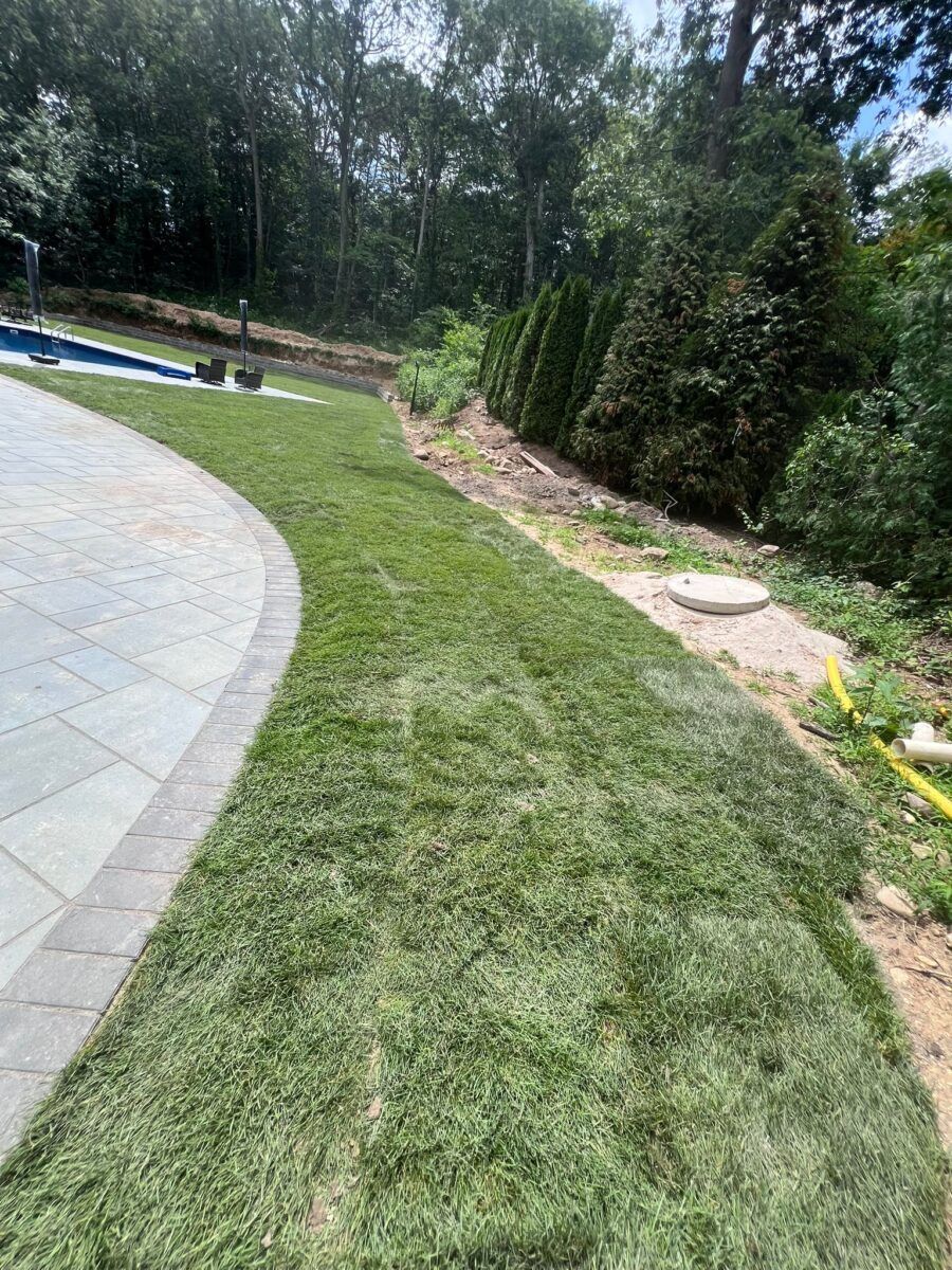 Front Yard Lawn in Hempstead