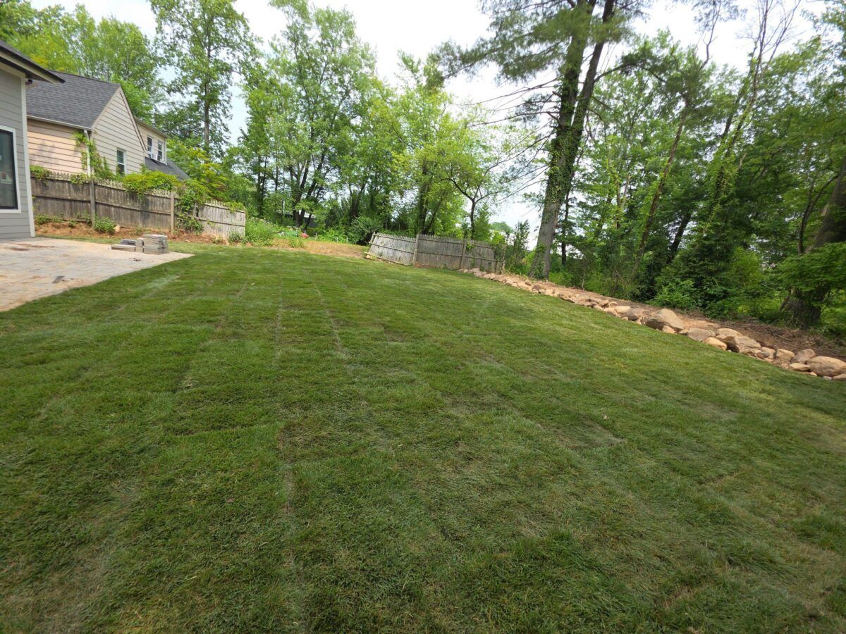 Lawn Makeover in Oyster Bay