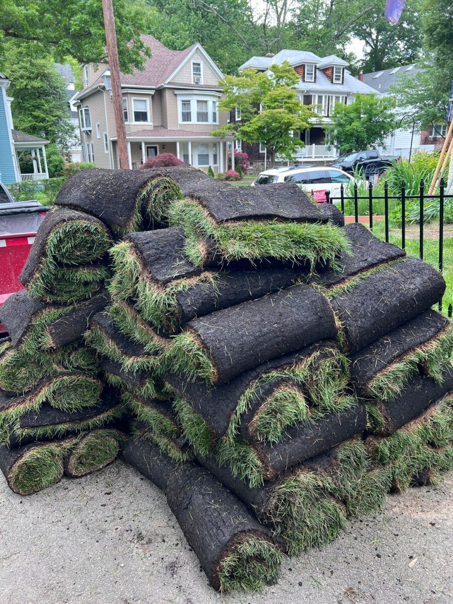 Kentucky Bluegrass Delivery in Huntington