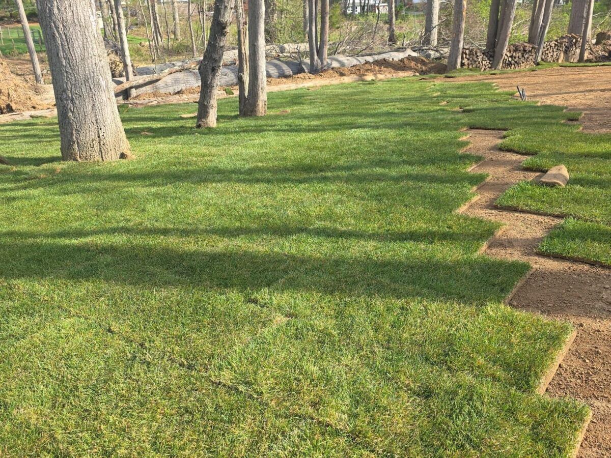 Sod Installation Near Garden City