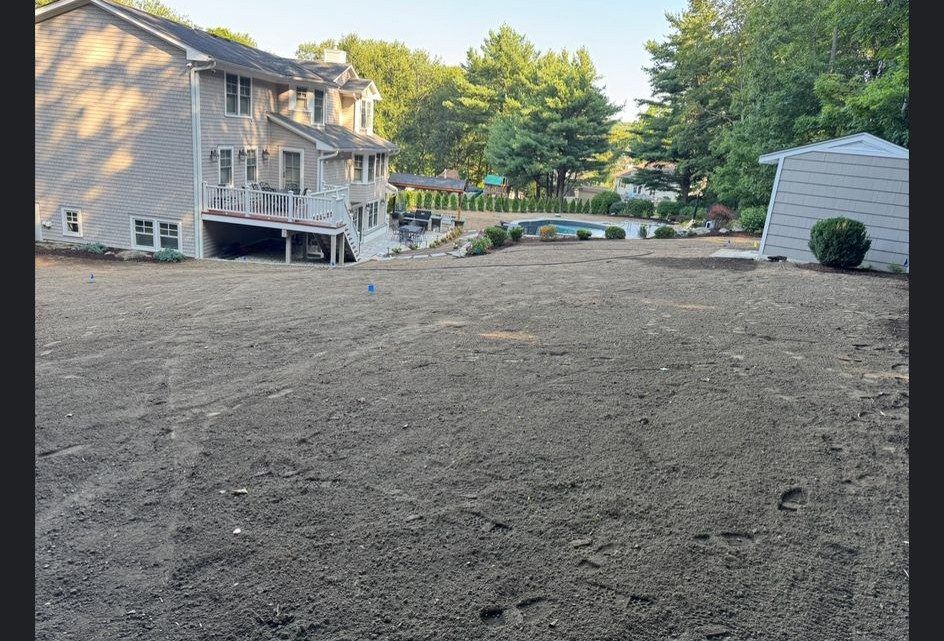 Backyard and Pool Lawn in Islip: before (2 of 16)
