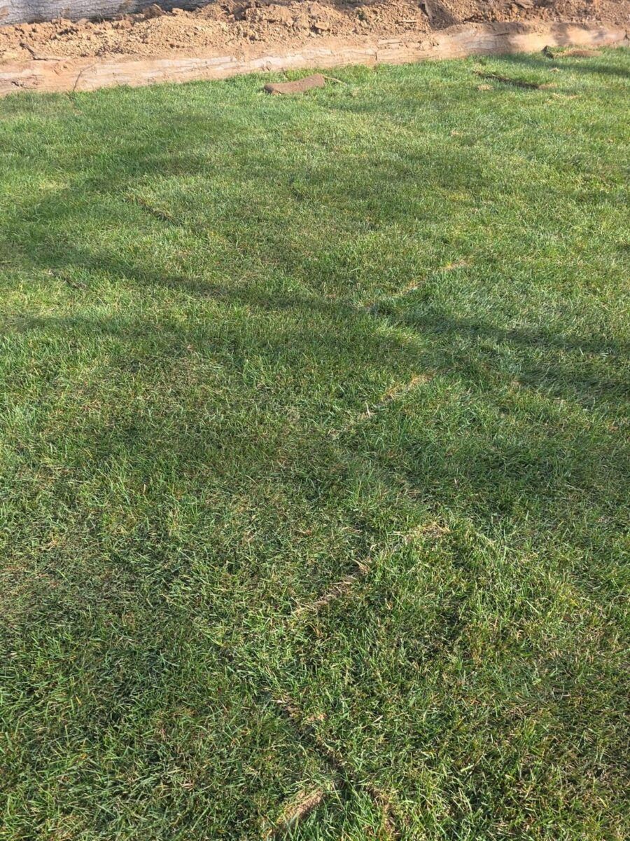 Sod Installation Near Garden City: after (2 of 2)