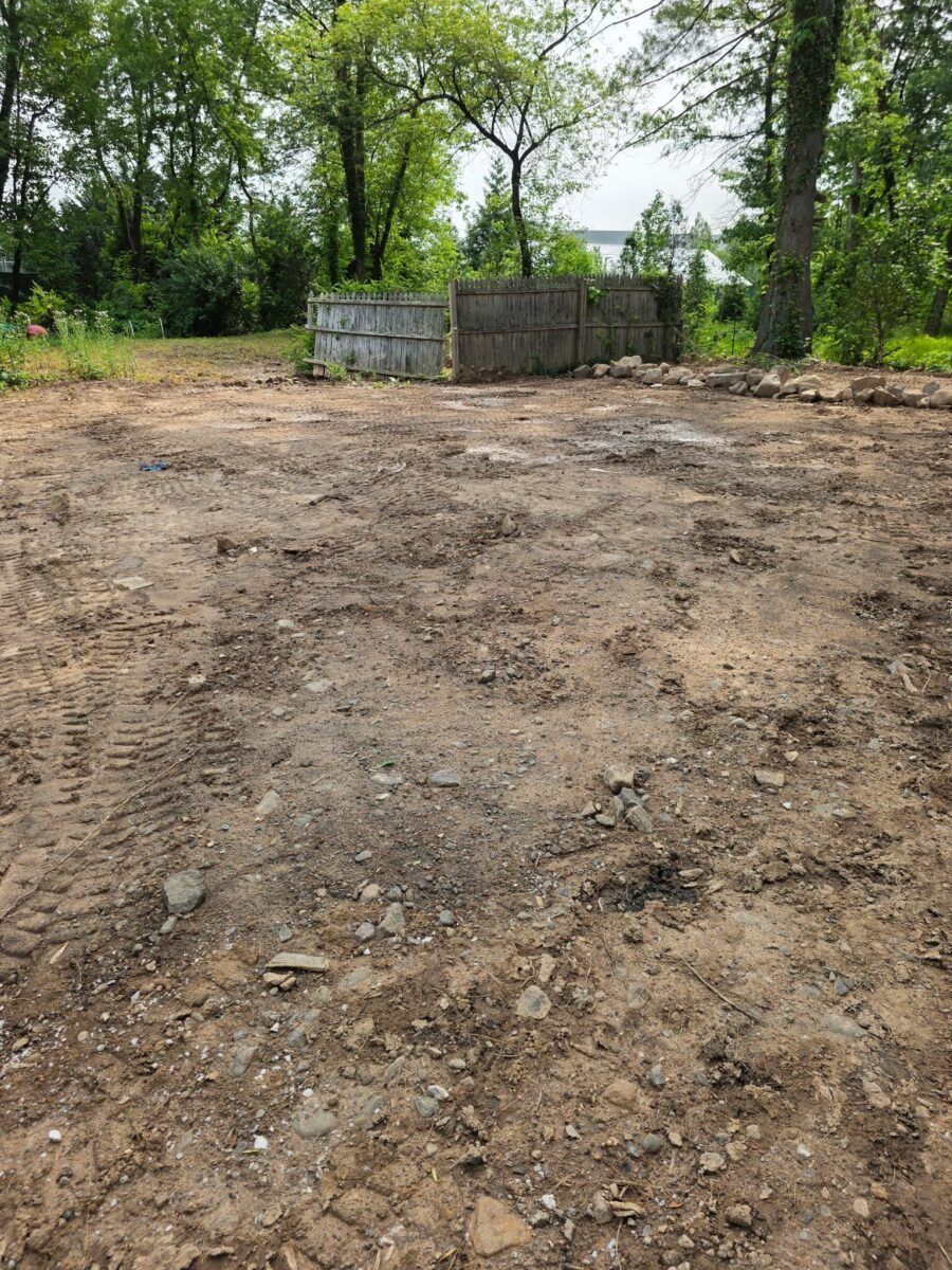 Lawn Makeover in Oyster Bay: before (2 of 11)