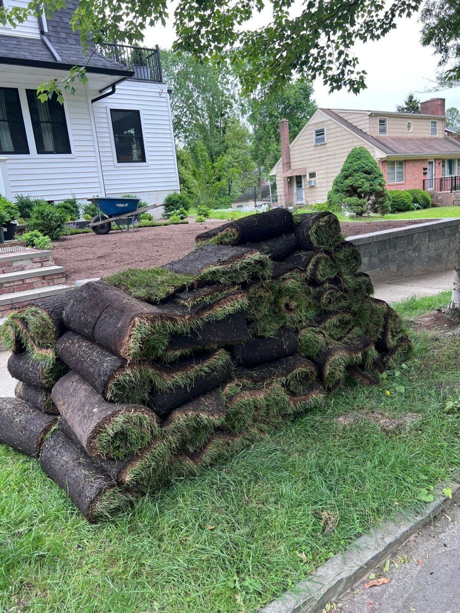 Kentucky Bluegrass Delivery in Huntington: during (2 of 3)