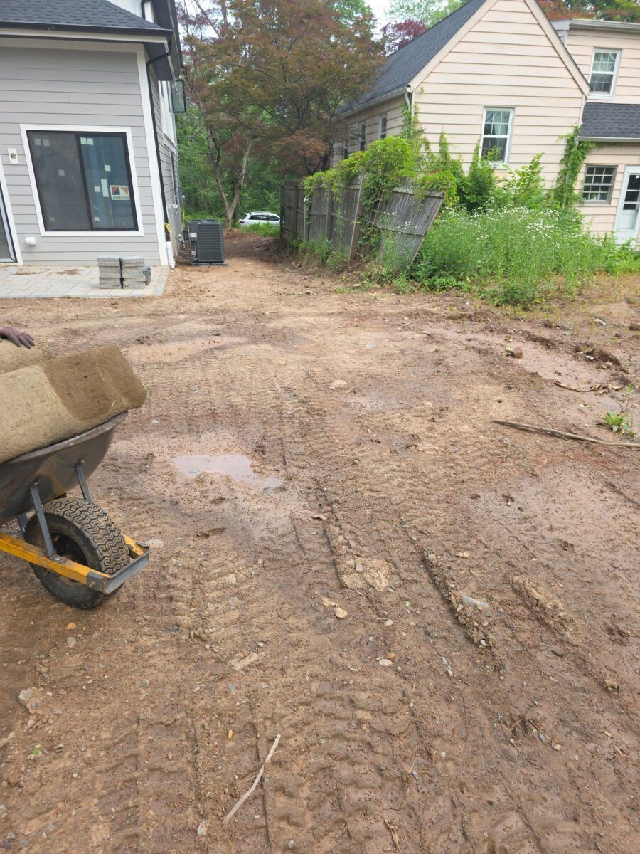 Lawn Makeover in Oyster Bay: before (3 of 11)