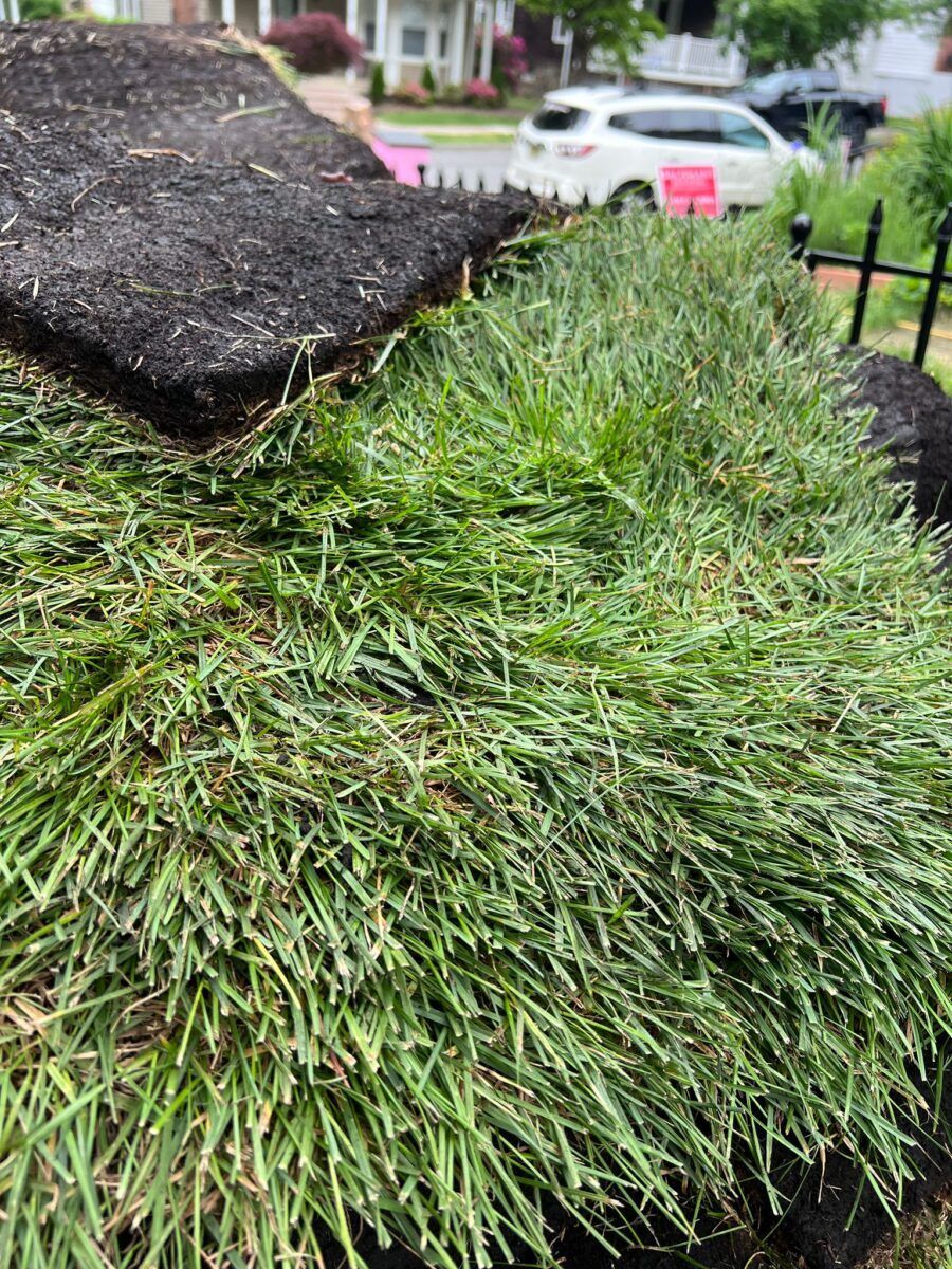 Kentucky Bluegrass Delivery in Huntington: during (3 of 3)