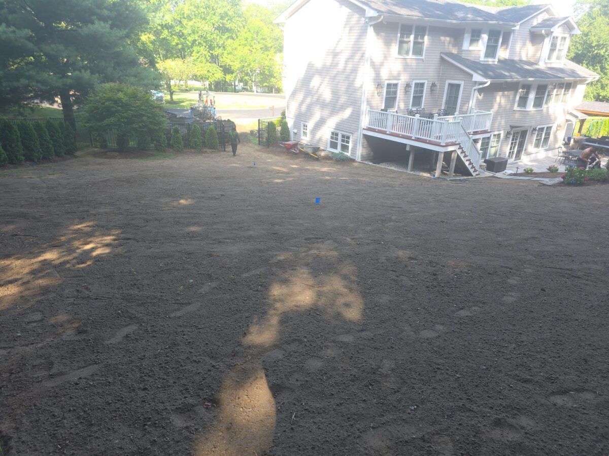 Backyard and Pool Lawn in Islip: before (4 of 16)