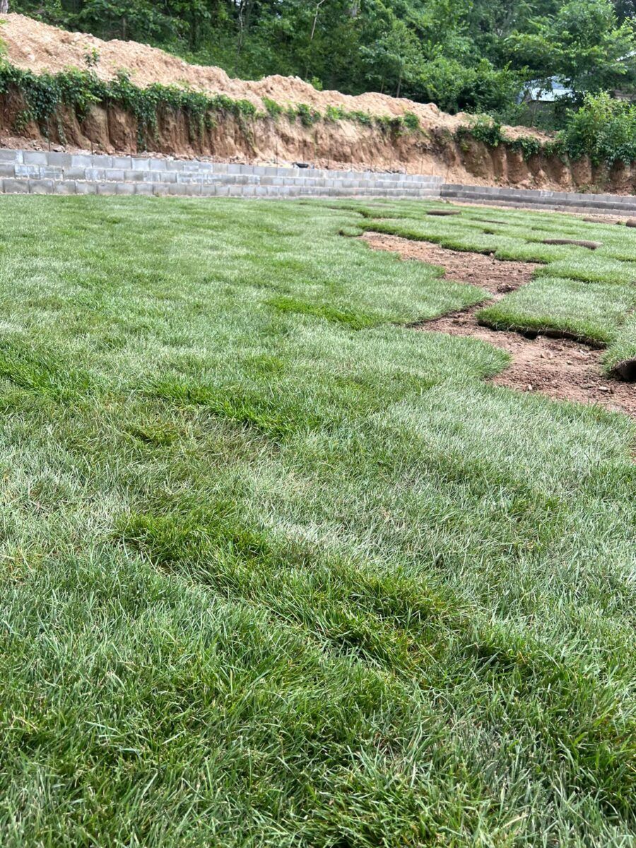 Front Yard Lawn in Hempstead: during (5 of 10)