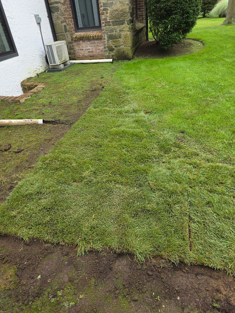 Family Backyard in Smithtown: during (6 of 9)