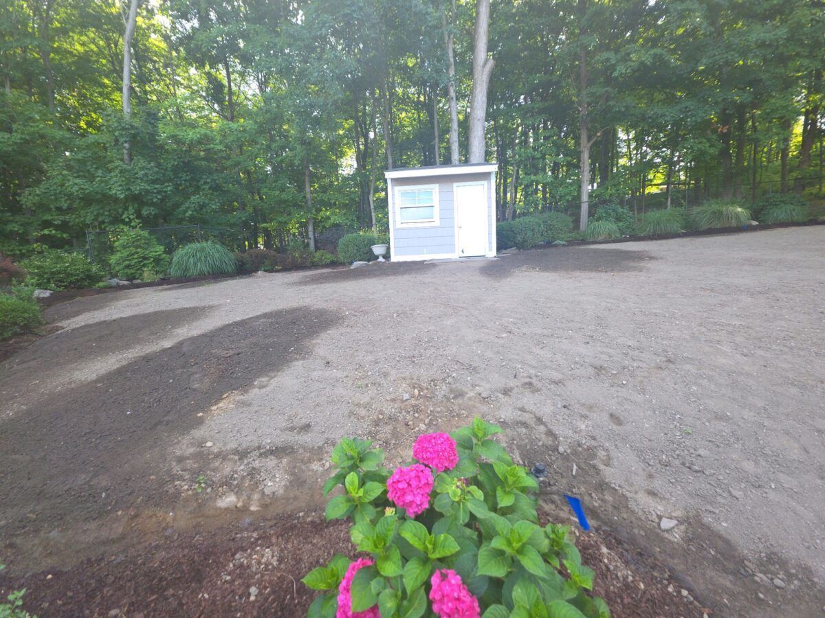 Backyard and Pool Lawn in Islip: before (6 of 16)
