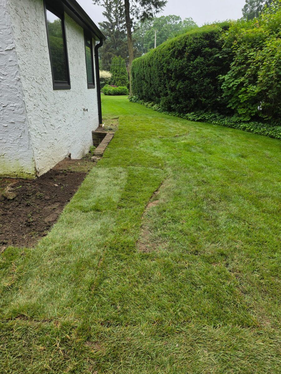 Family Backyard in Smithtown: during (7 of 9)