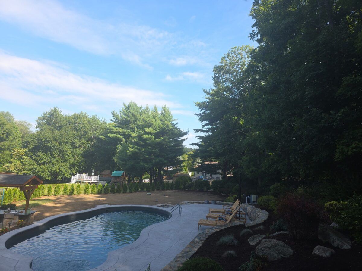 Backyard and Pool Lawn in Islip: before (7 of 16)