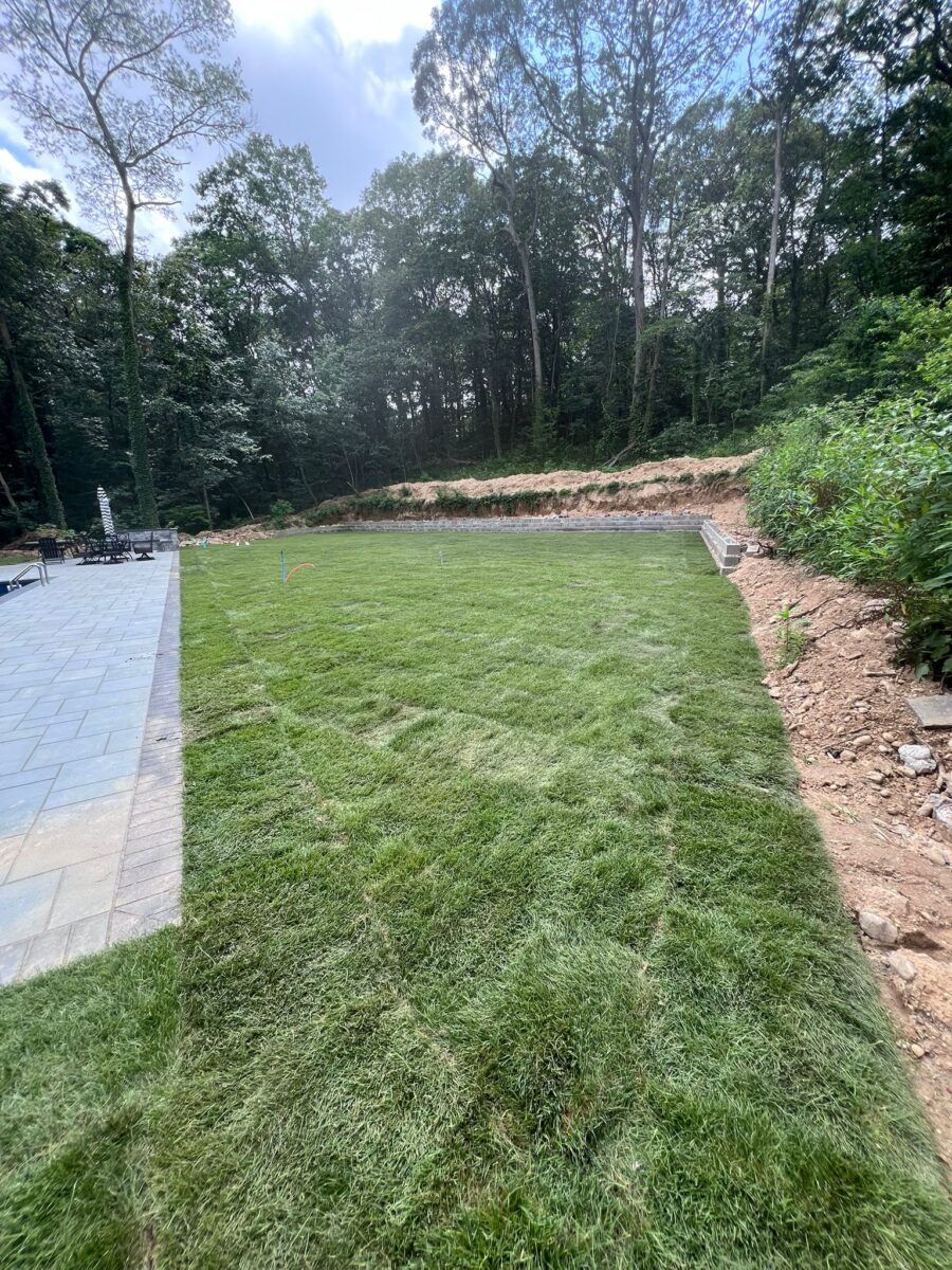 Front Yard Lawn in Hempstead: after (7 of 10)