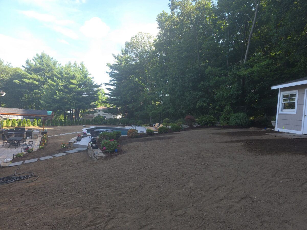Backyard and Pool Lawn in Islip: before (8 of 16)