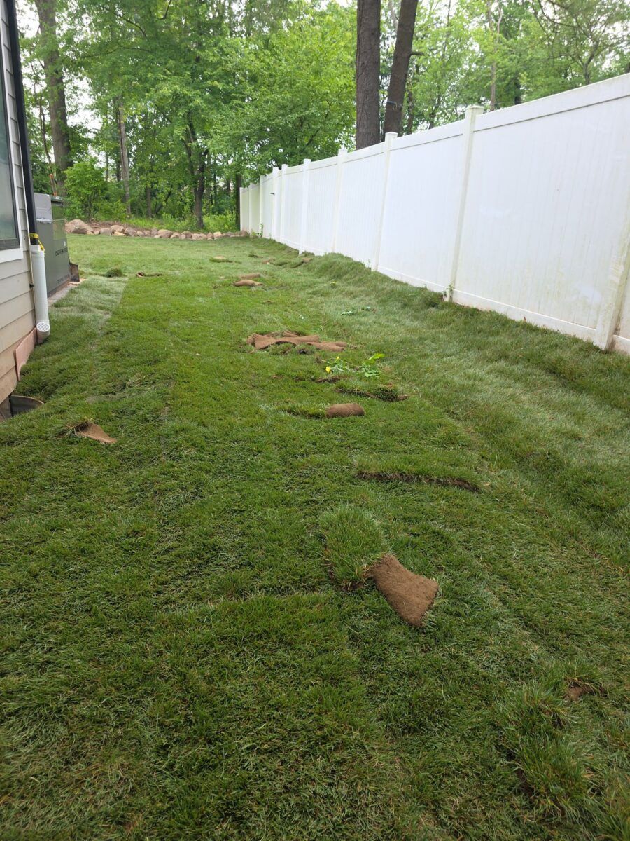 Lawn Makeover in Oyster Bay: during (8 of 11)