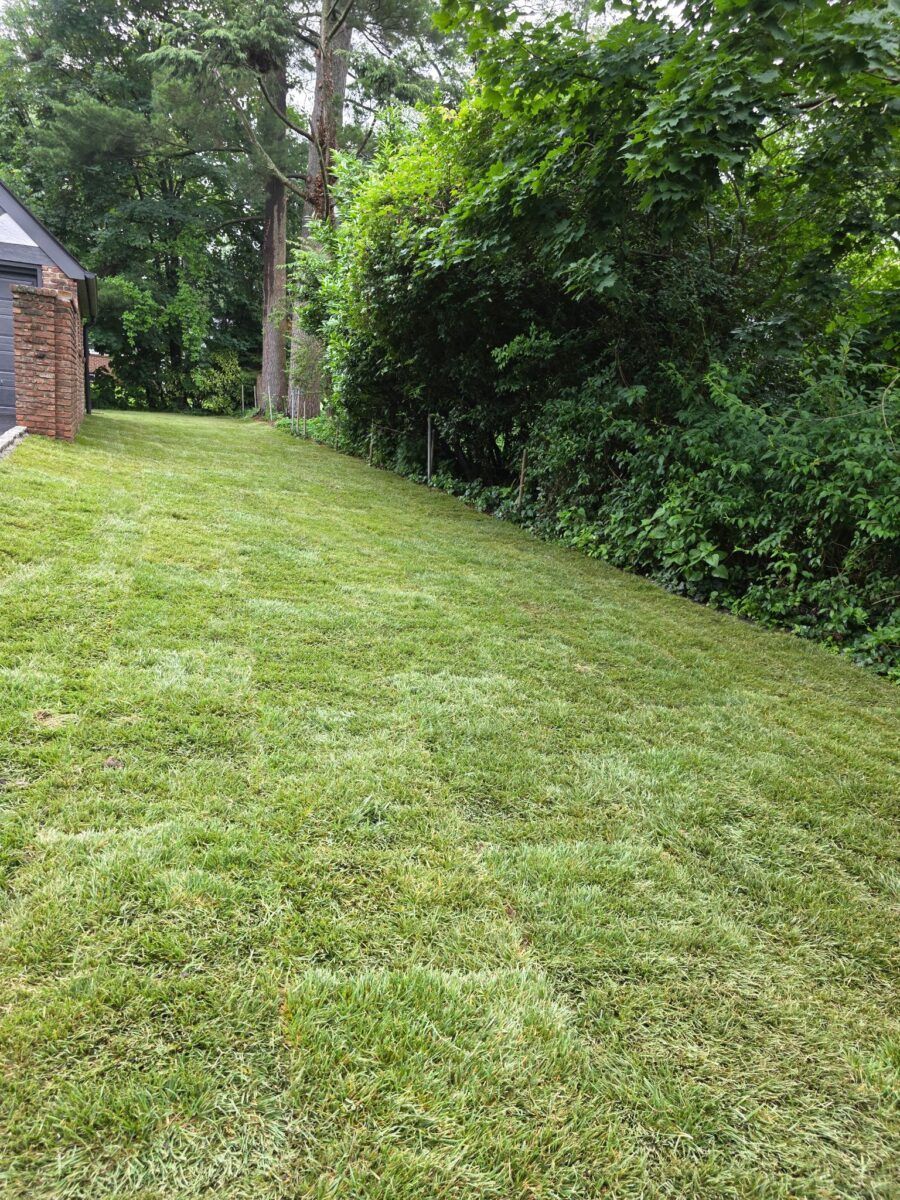 Family Backyard in Smithtown: after (9 of 9)