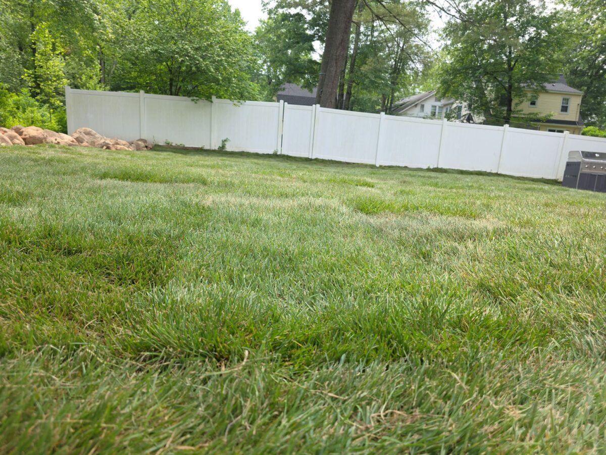 Lawn Makeover in Oyster Bay: after (9 of 11)