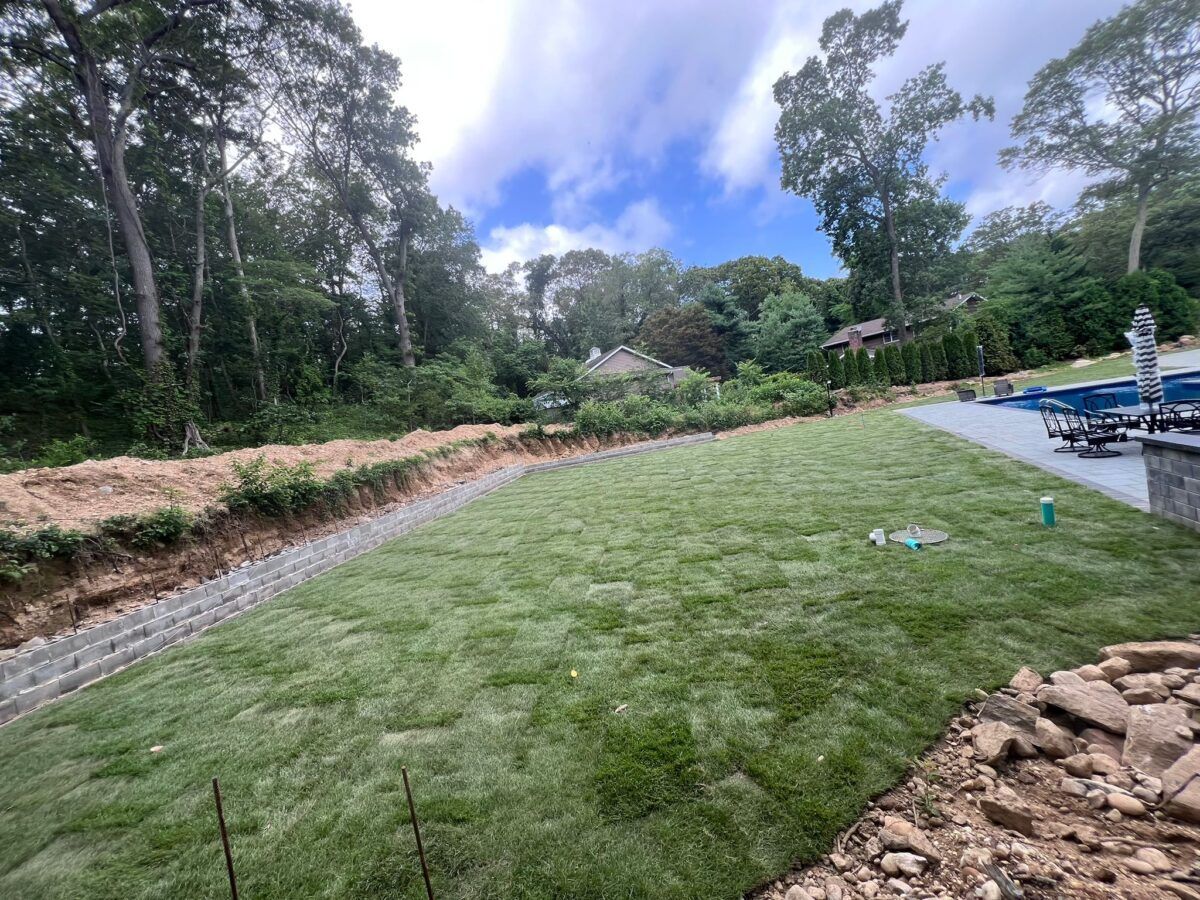 Front Yard Lawn in Hempstead: after (9 of 10)