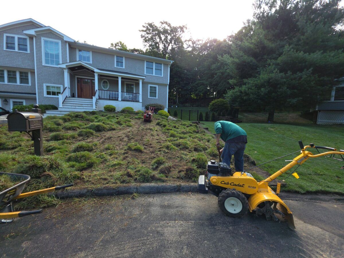 Backyard and Pool Lawn in Islip: during (10 of 16)