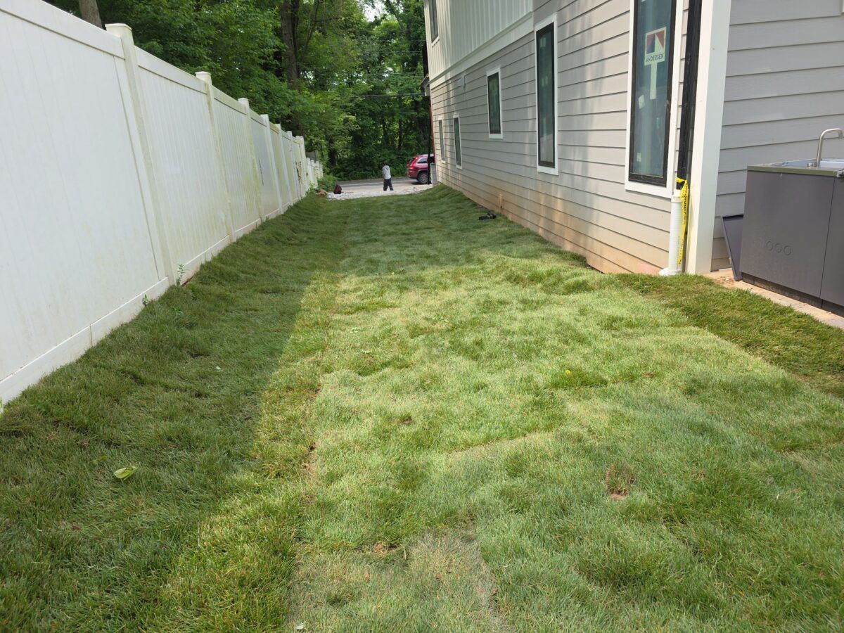 Lawn Makeover in Oyster Bay: after (10 of 11)