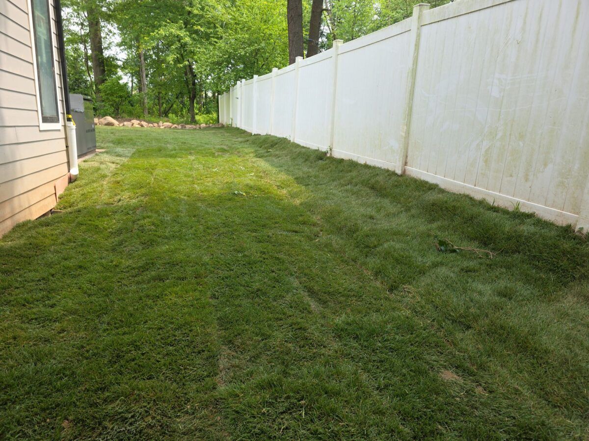 Lawn Makeover in Oyster Bay: after (11 of 11)