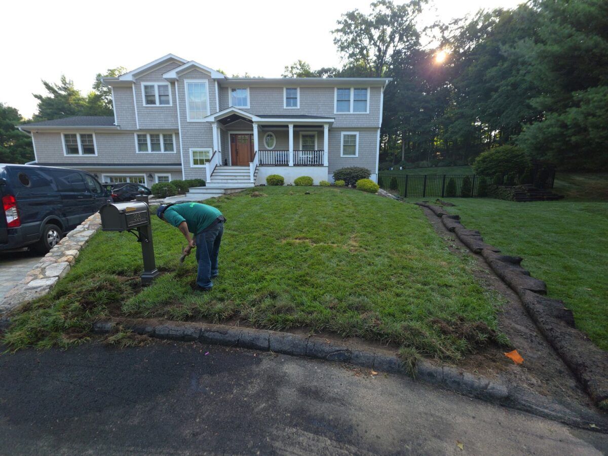 Backyard and Pool Lawn in Islip: during (11 of 16)