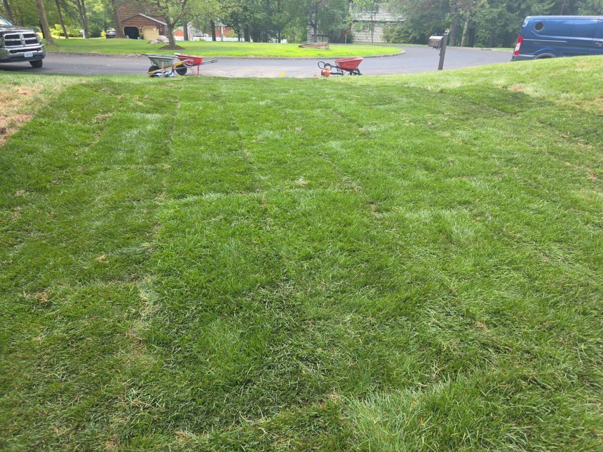 Backyard and Pool Lawn in Islip: after (13 of 16)
