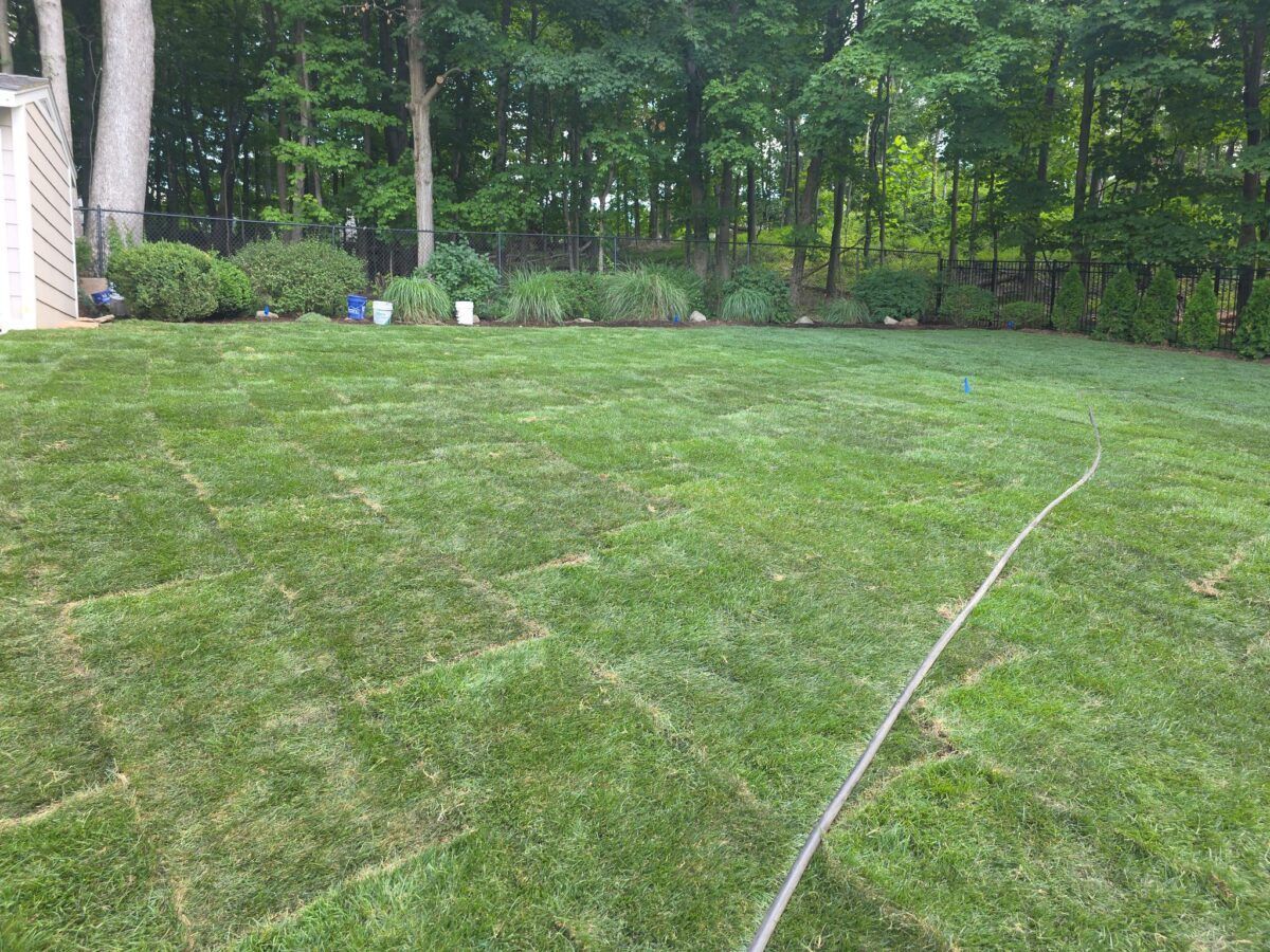 Backyard and Pool Lawn in Islip: after (14 of 16)