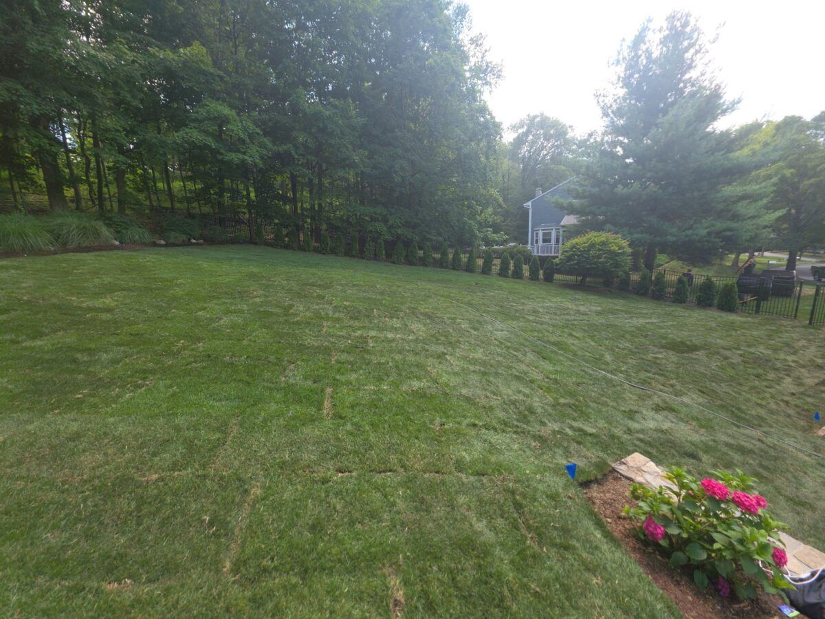 Backyard and Pool Lawn in Islip: after (15 of 16)