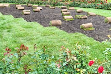 laying sod for Long Island home