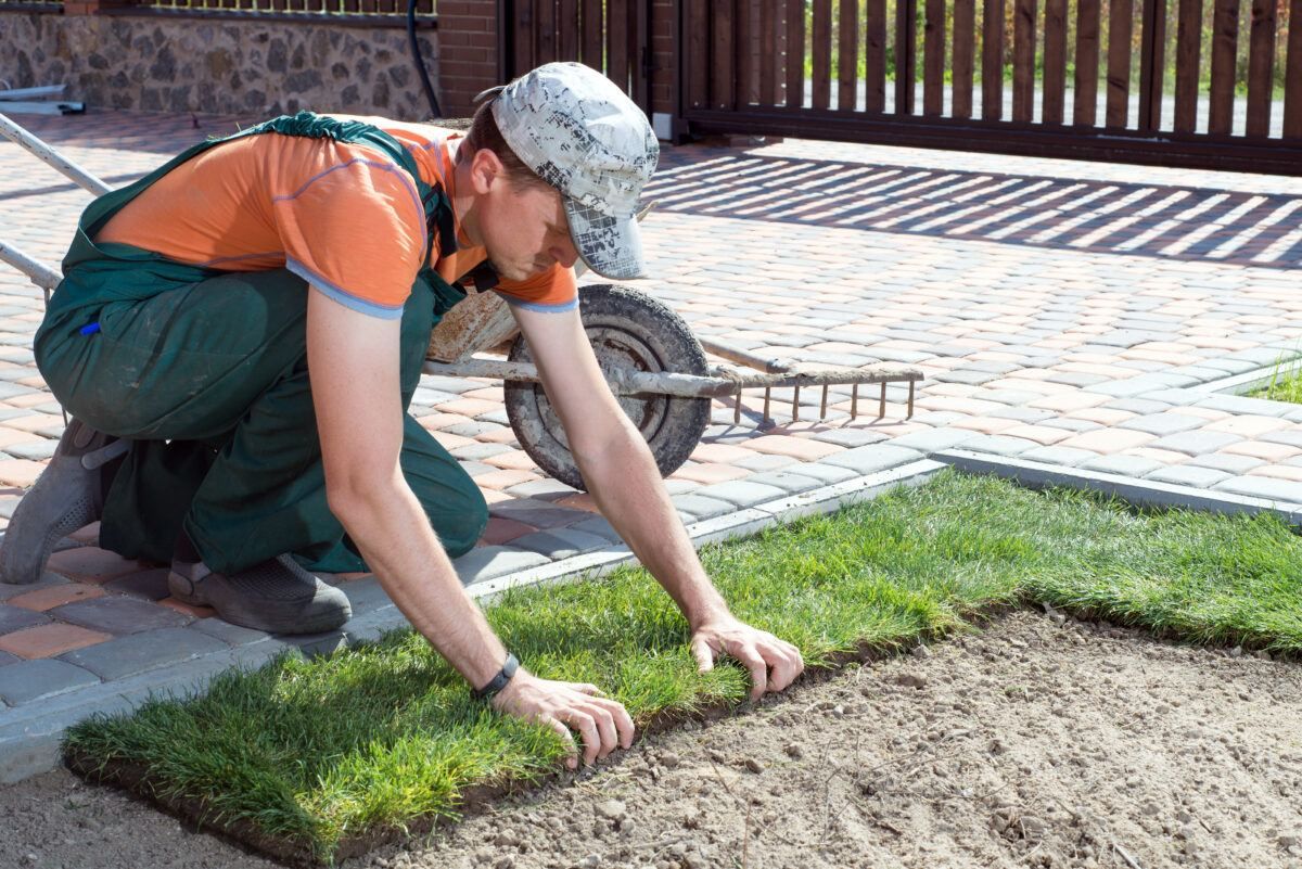 installing new sod into lawn