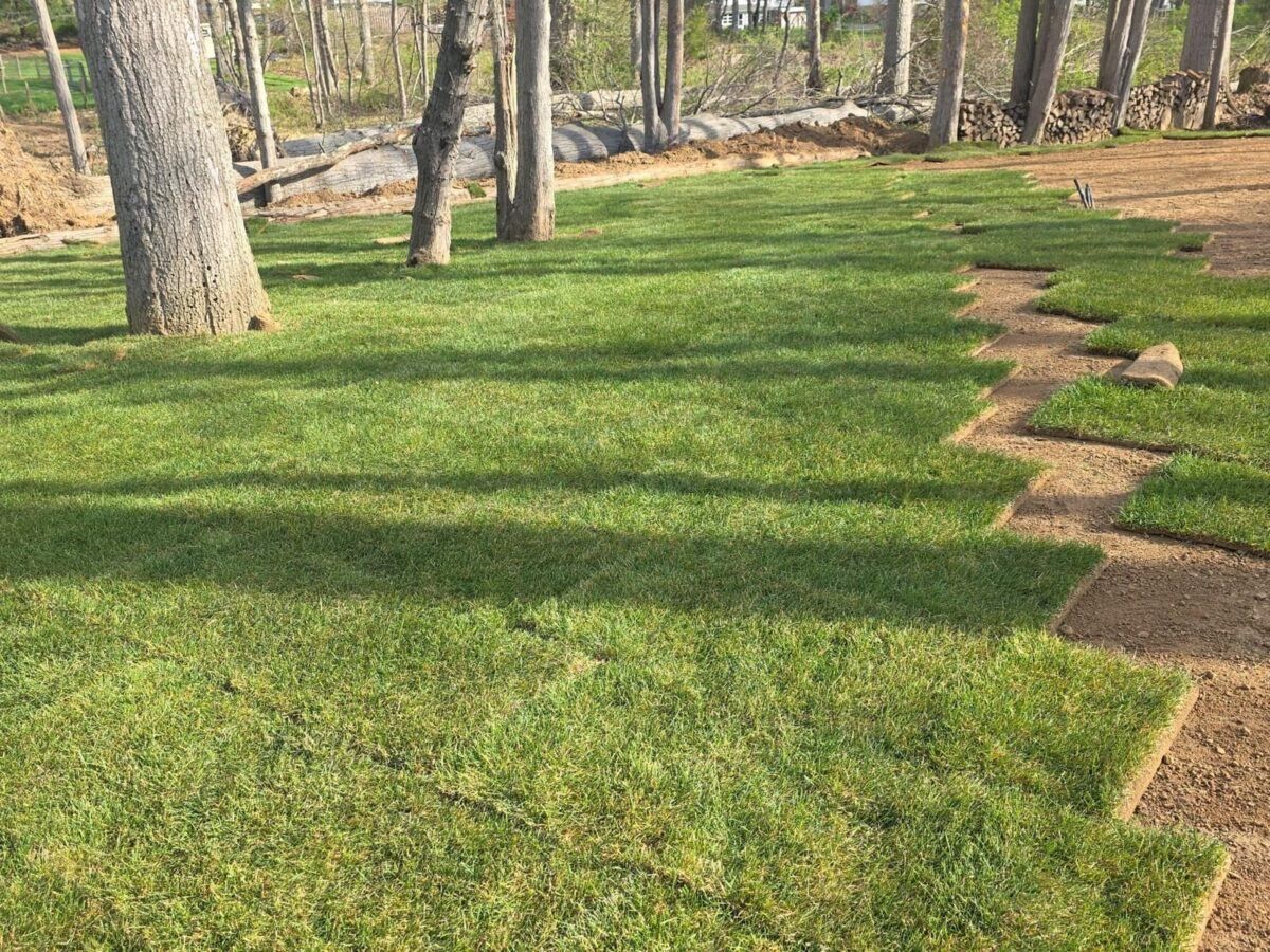 Finished South Shore Long Island sod installation showing healthy new lawn after coastal soil preparation