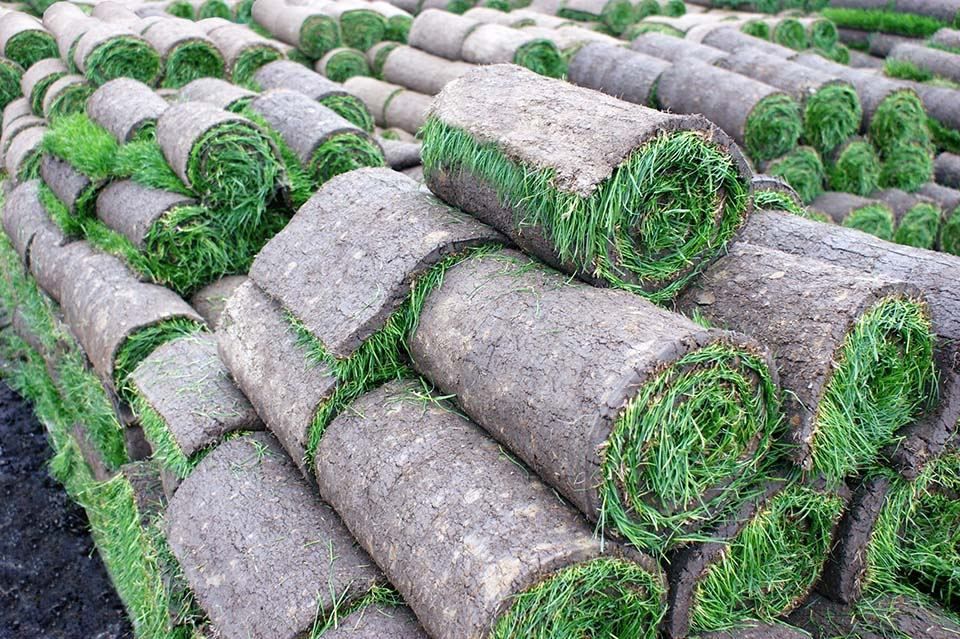 The Top Benefits of Using Local Sod Delivery Services For Your Long Island Lawn Project