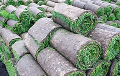 New construction sod installation preparation on Long Island