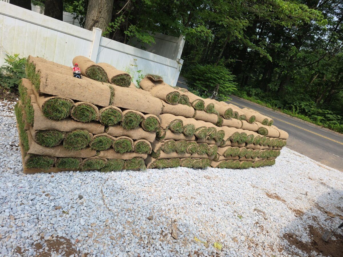 Zoysia Sod Delivery