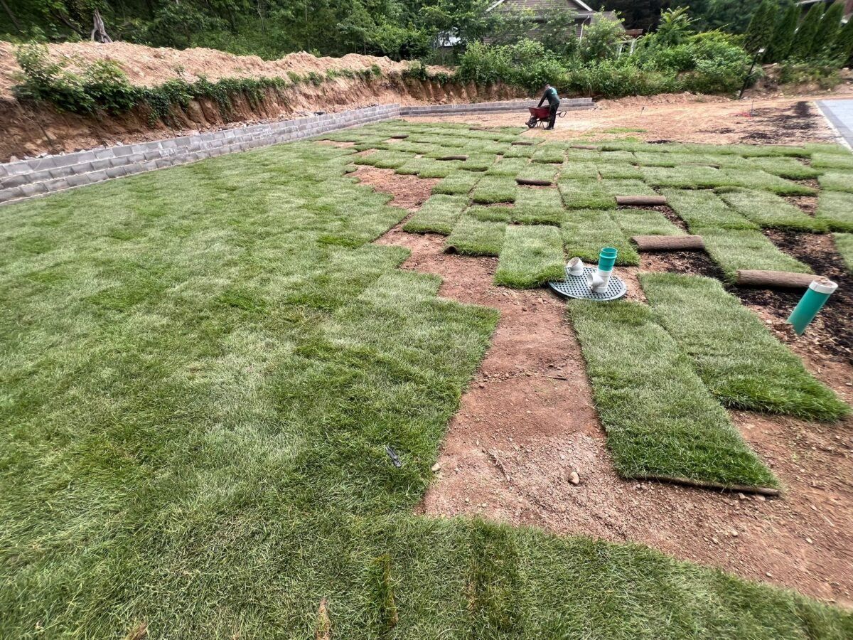 installing sod