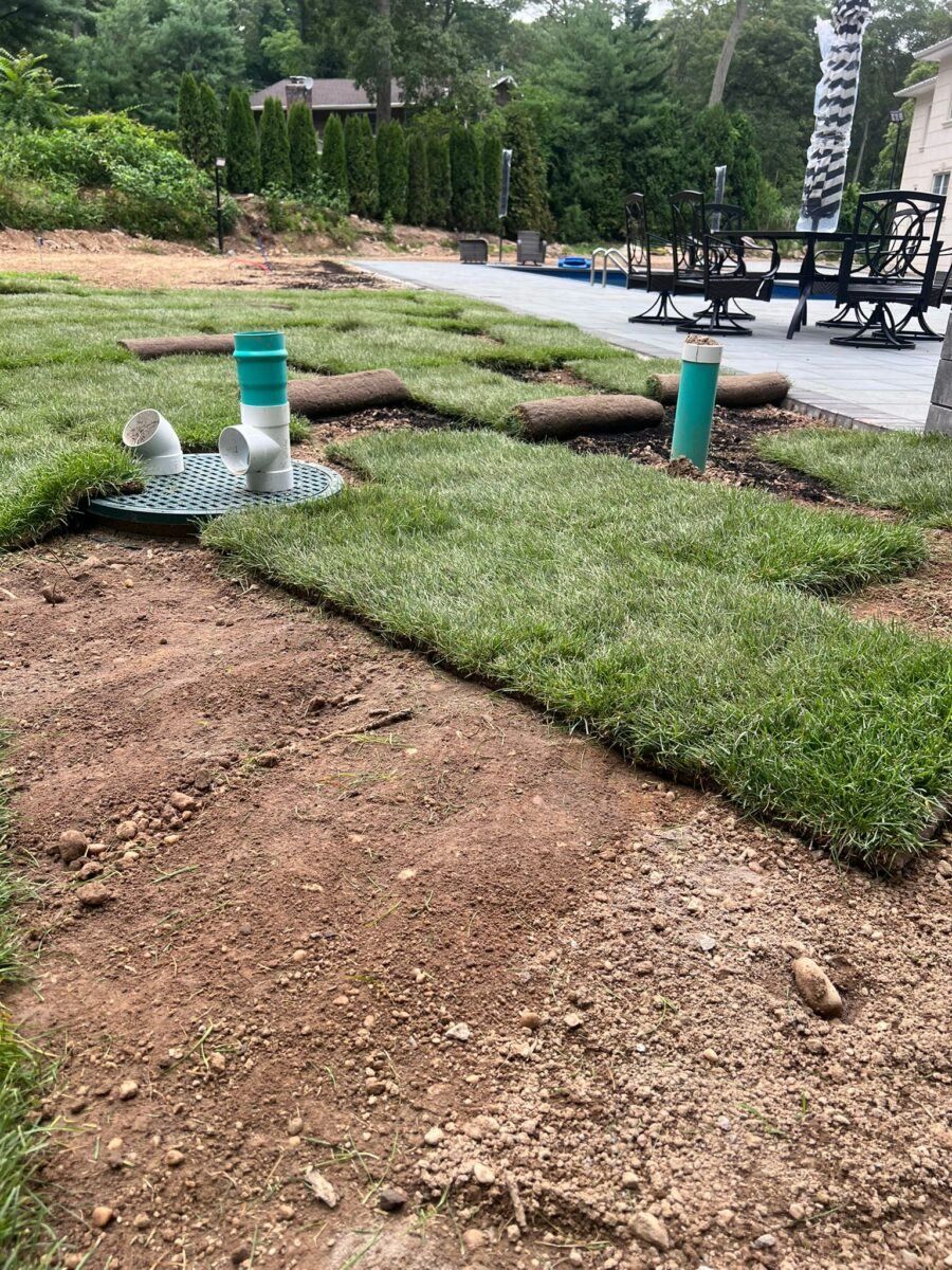 The Benefits of Choosing a Local Sod Company for Your Long Island Lawns
